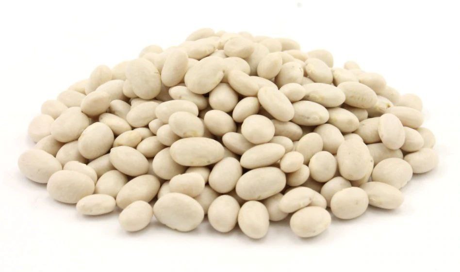White bean
